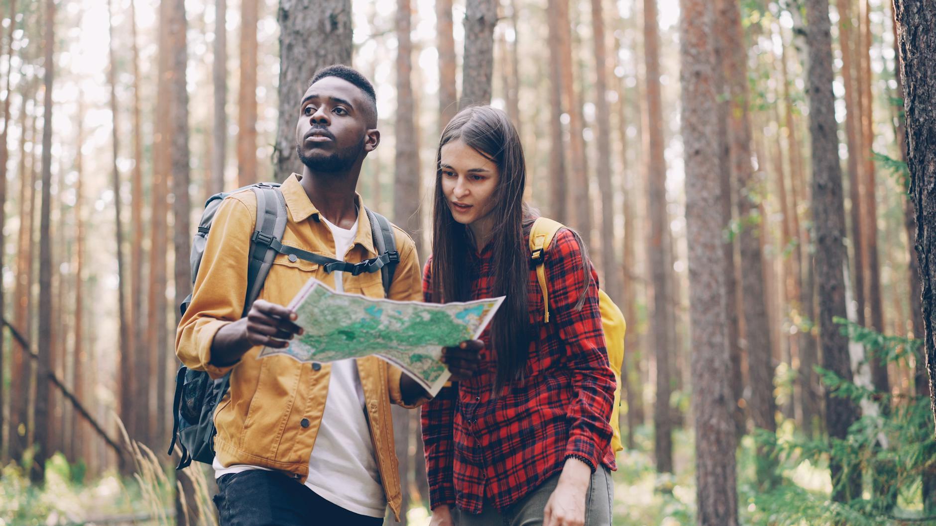 Sentier de randonnée en forêt avec carte IGN