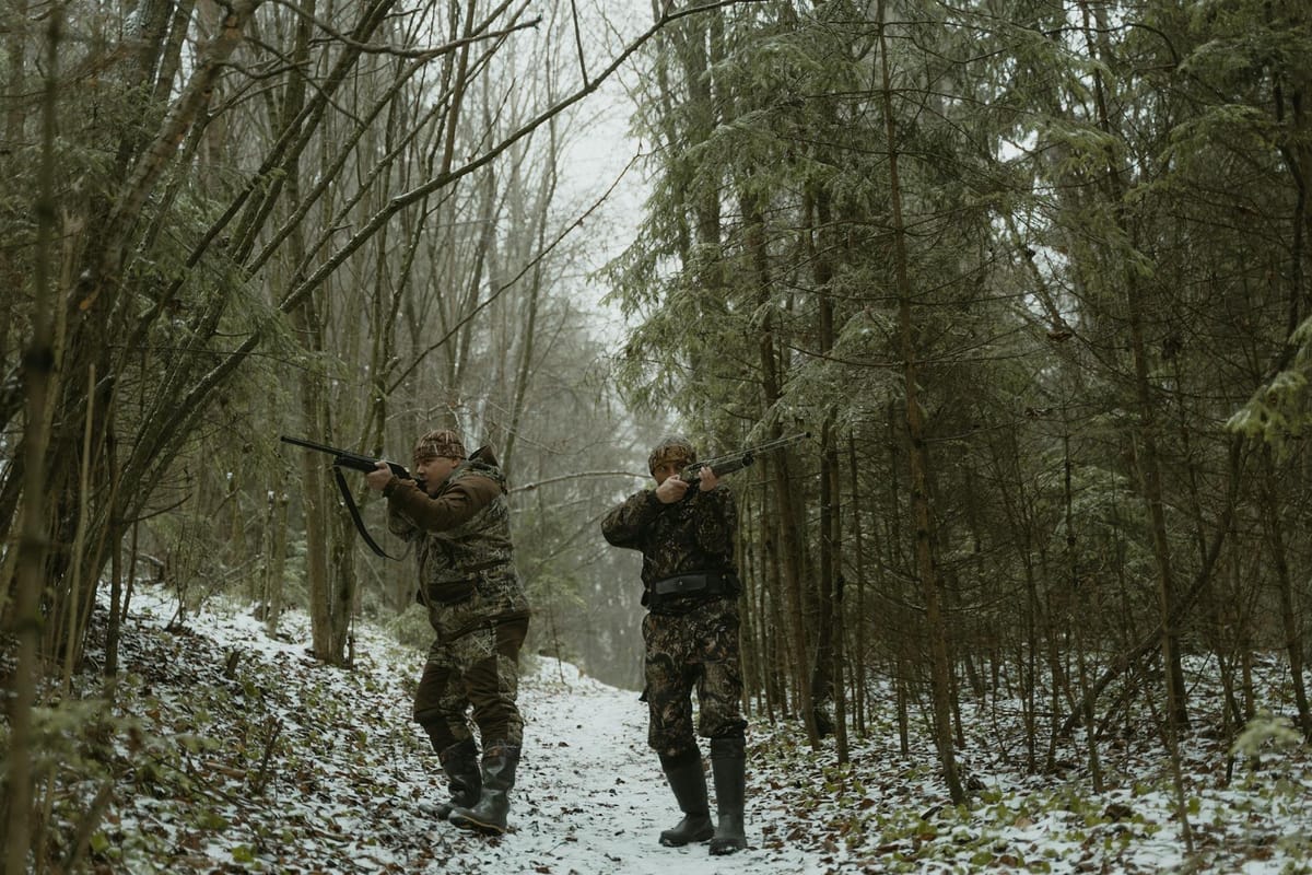 Territoire de chasse en forêt — cartographie des limites et postes