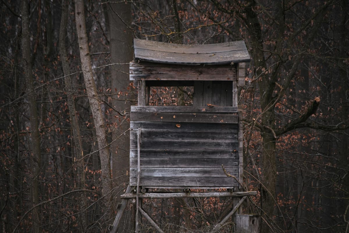 Mirador de chasse en forêt — poste fixe surélevé