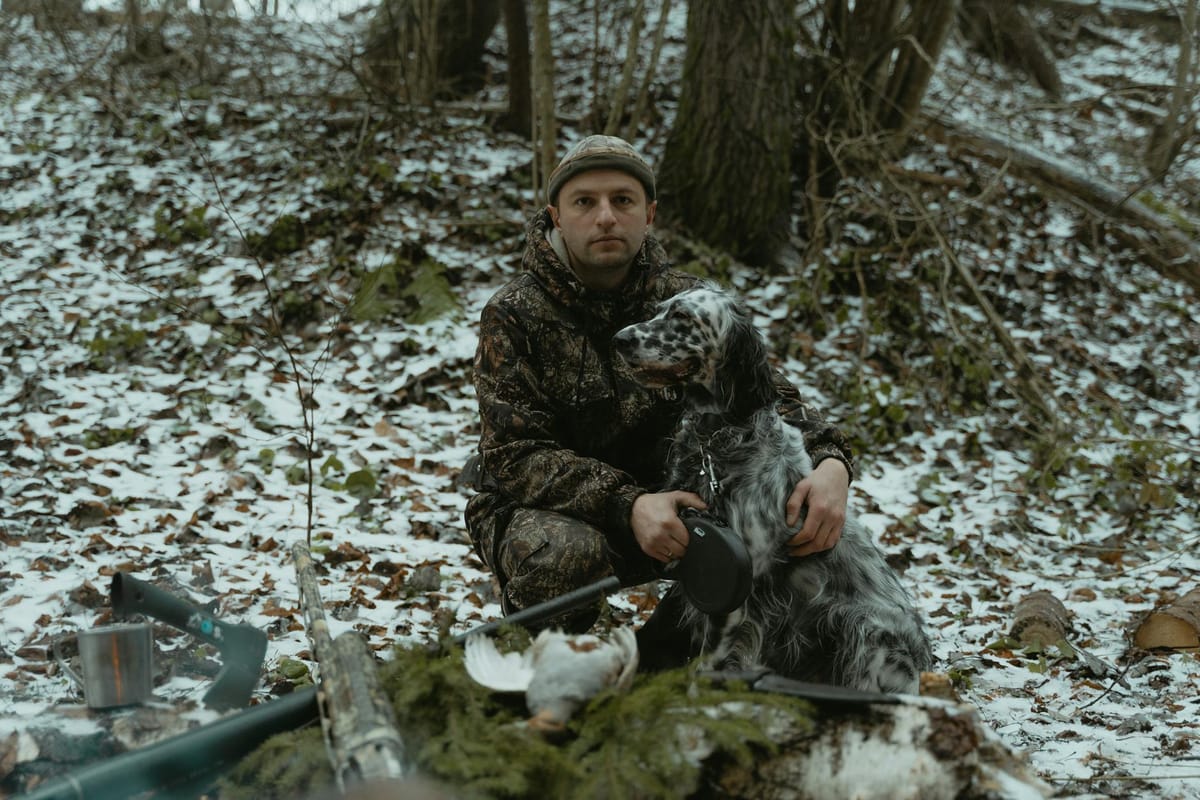 Traqueurs en gilet orange progressant avec des chiens en forêt