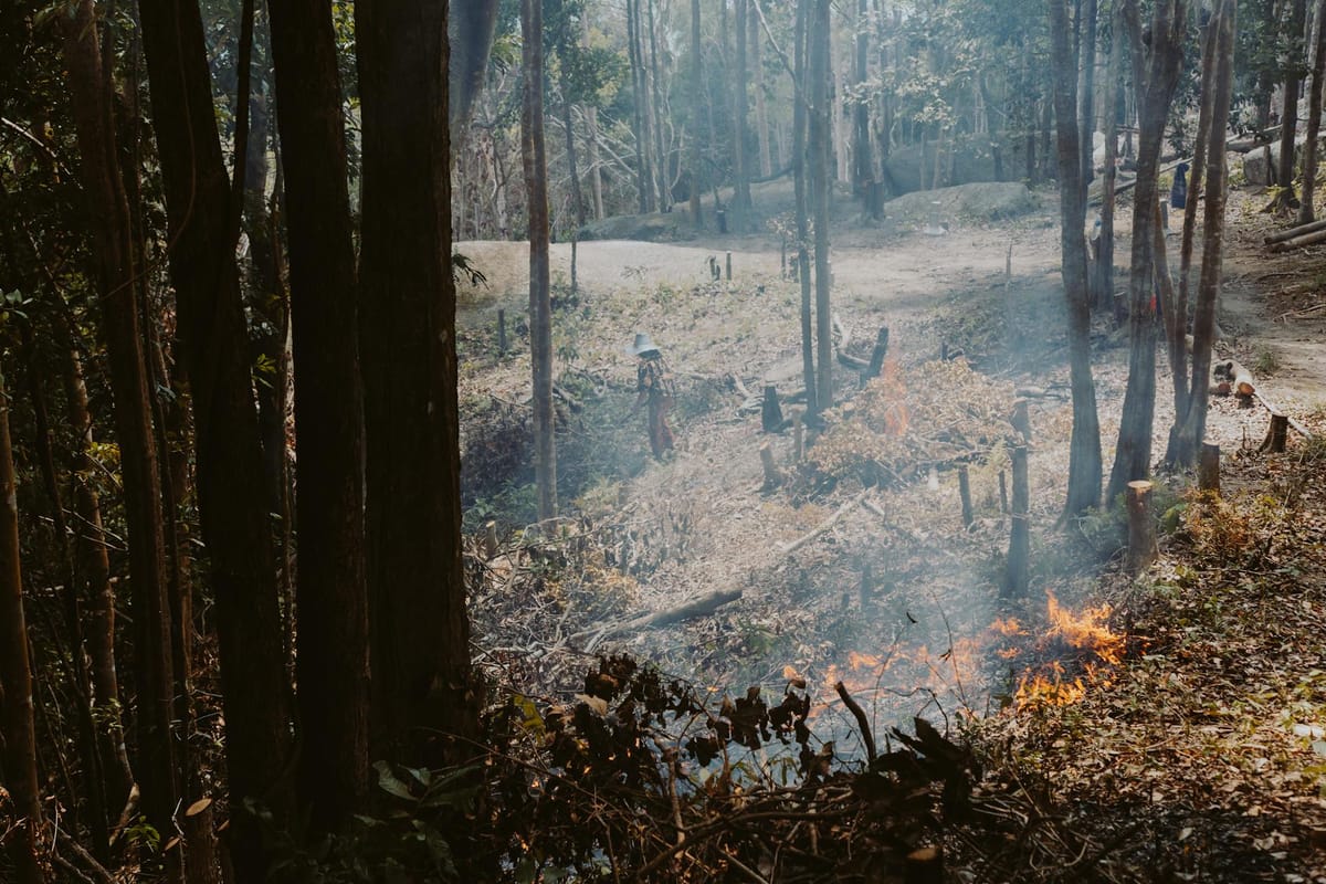 Débroussaillement forêt — obligations légales OLD prévention incendie