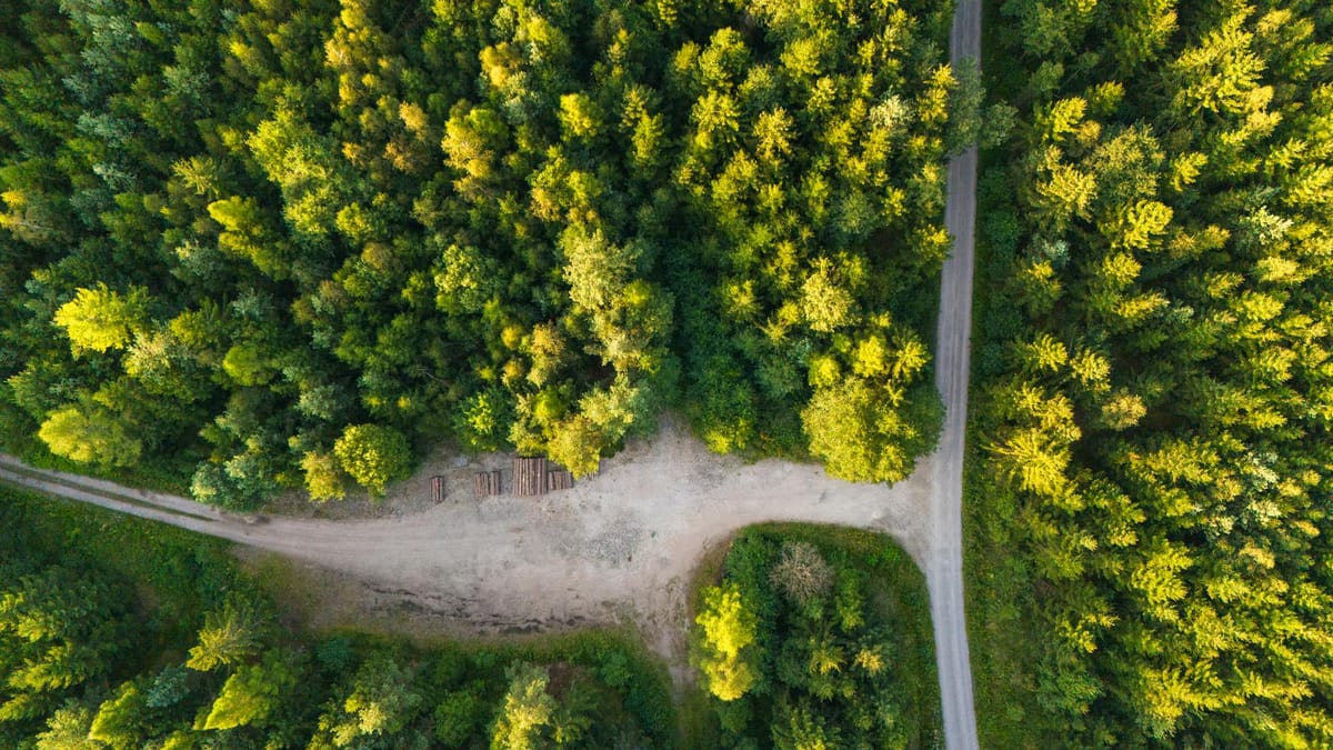 Vente d'une propriété forestière — fiscalité plus-value immobilière 2026