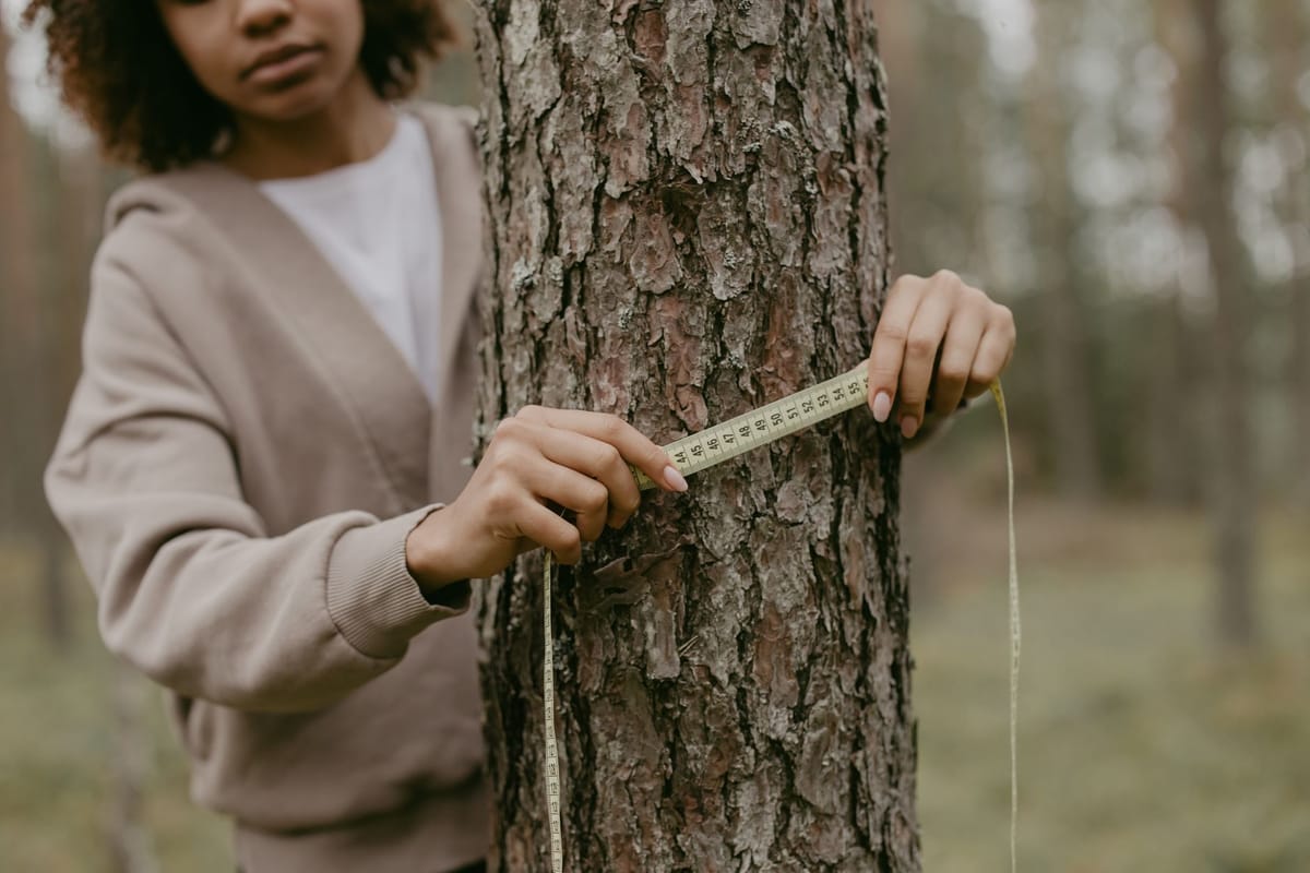 Mesure de la surface terrière d'un peuplement forestier au relascope
