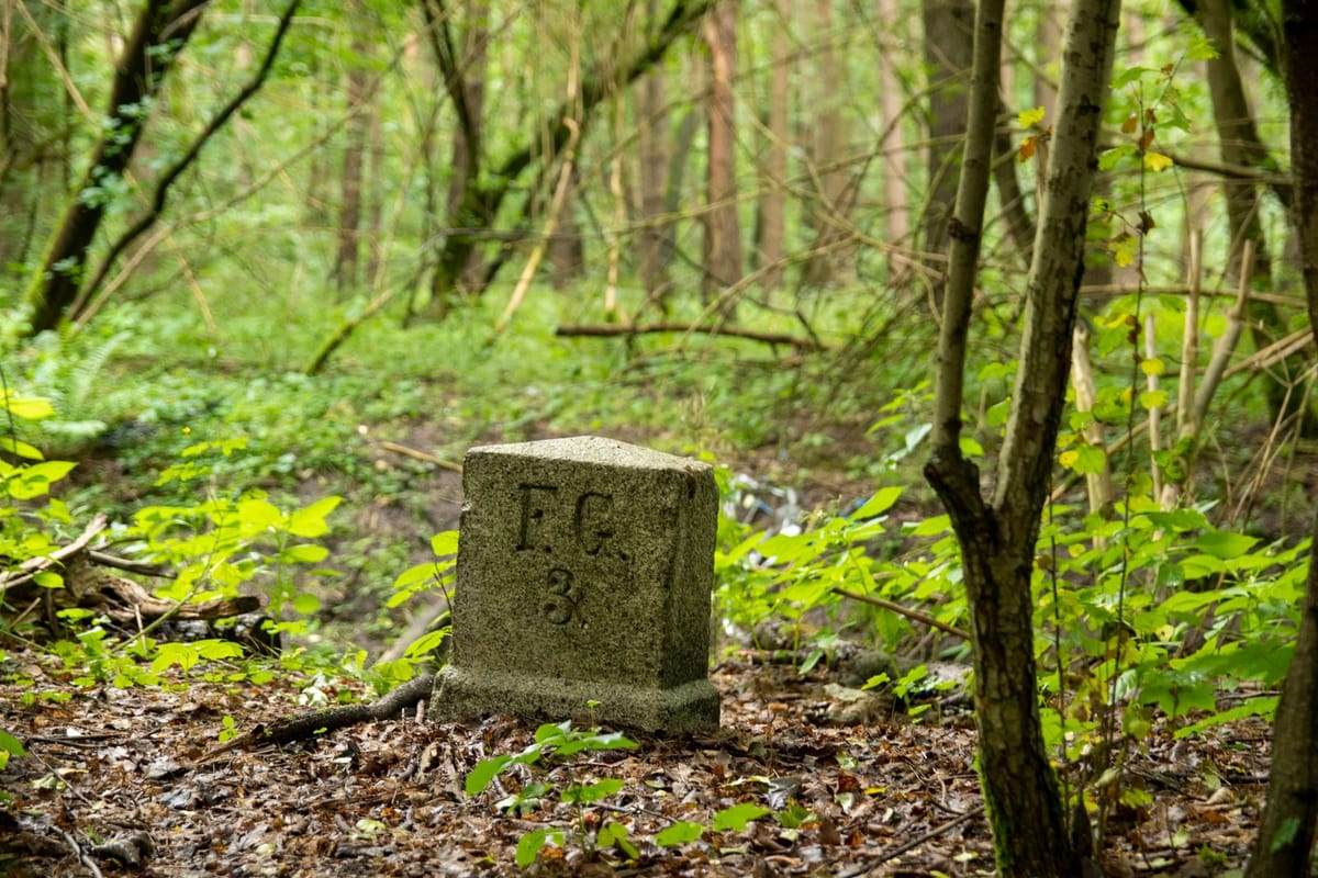 Borne de limite en pierre au milieu d’un sous-bois : retrouver les bornes d’une forêt héritée