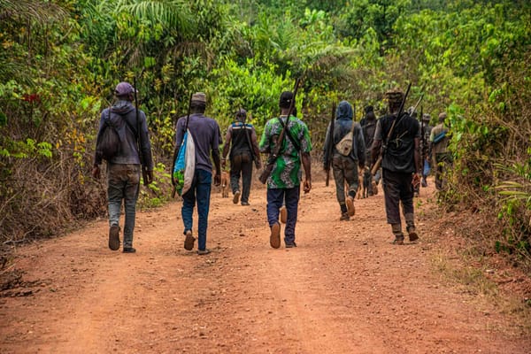 Équipe de chasseurs en forêt pour une battue organisée