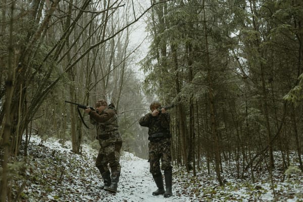 Territoire de chasse en forêt — cartographie des limites et postes