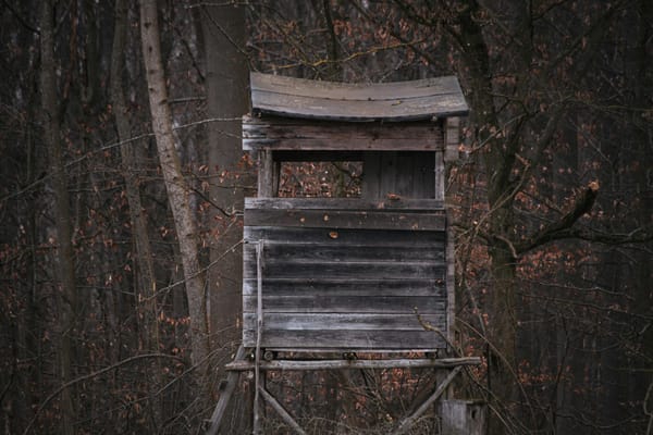 Mirador de chasse en forêt — poste fixe surélevé