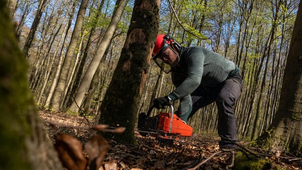 Propriétaire forestier réalisant un inventaire terrain pour son Plan Simple de Gestion