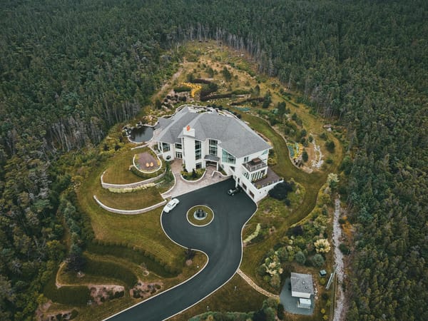 Patrimoine forestier et IFI — exonération 75% propriétaire forestier