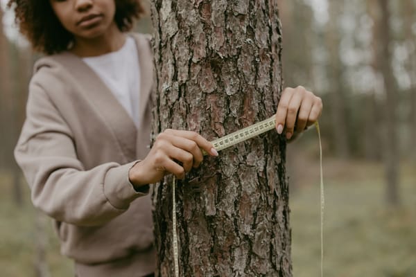 Mesure de la surface terrière d'un peuplement forestier au relascope